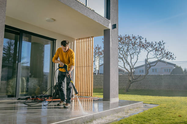 Pre-Holiday Cleaning in Limestone, IL